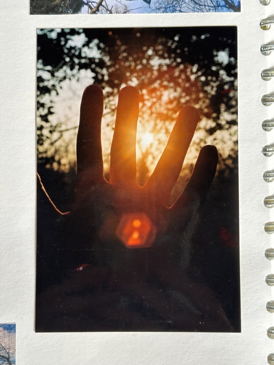 Photograph of sunset through fingers